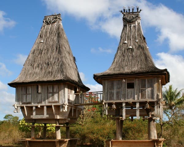 Two traditional Timorese houses with tall conical thatched roofs, raised on timber posts.
